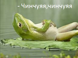 Маленькая китаянка гипнотизирует животных
