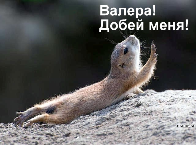 Валера
