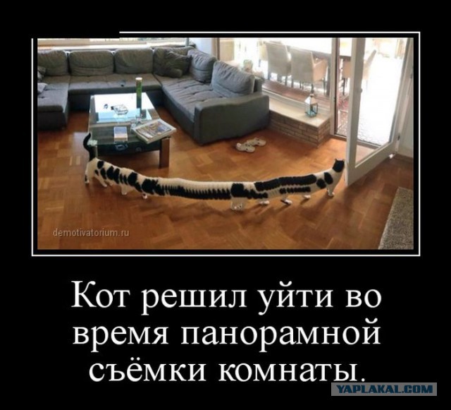 Главное - вовремя