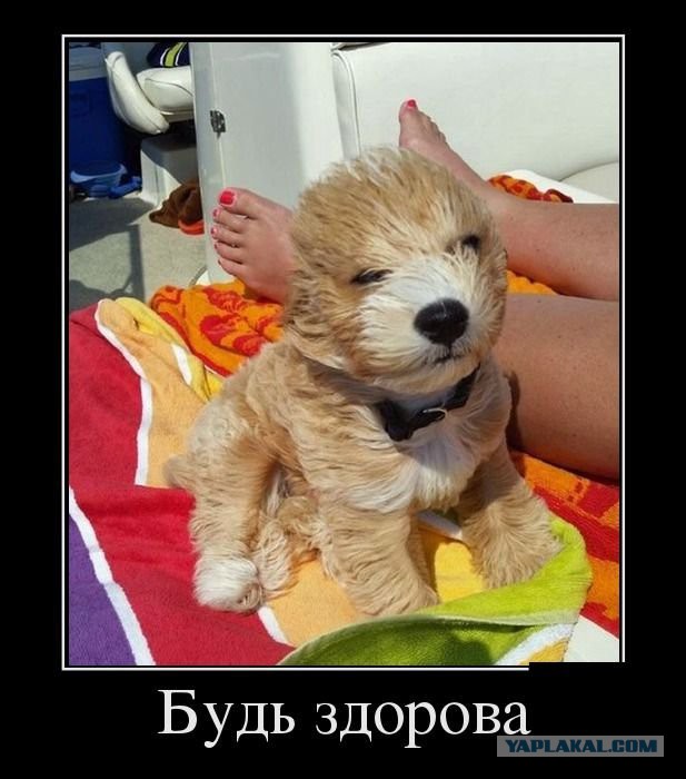 Немного позитива