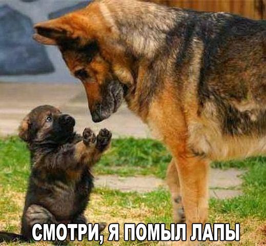 Картинки на пятницу