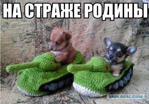 Картинки на пятницу