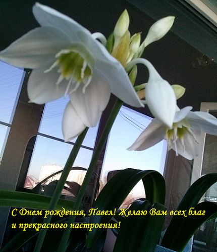 Деревенская Америка