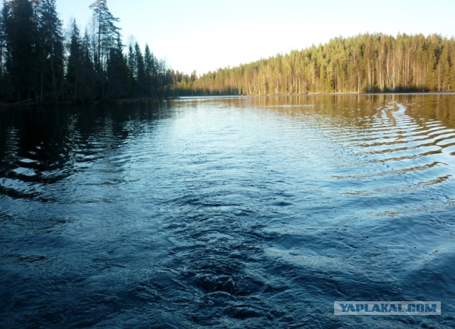 Я узнал, что у меня есть огромная семья