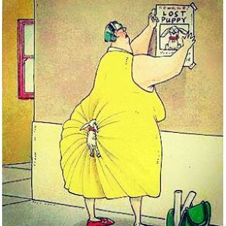 Дрессировка боевого пса убийцы! ( +21)