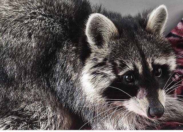 Подборка красивых картинок