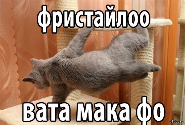 Пожабим президента Зимбабве?