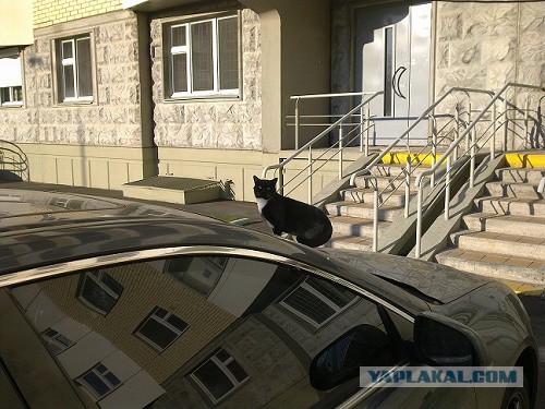 Что то пошло не так