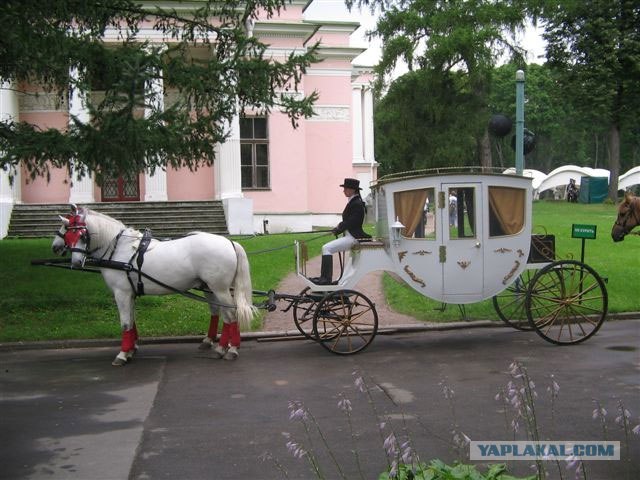 Ксения Собчак вышла замуж