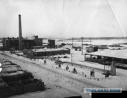 Семикаракорский консервный завод