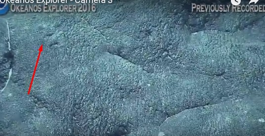 Началась онлайн-трансляция происходящего в самом глубоком месте Земли