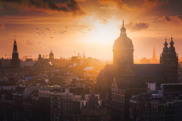 Интересные и веселые картинки