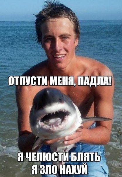 Я сама смерть, я дракон