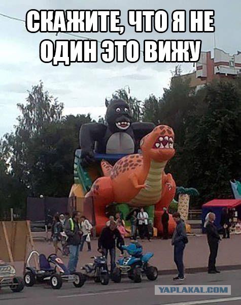 Смешные картинки из сети на 26.10.16