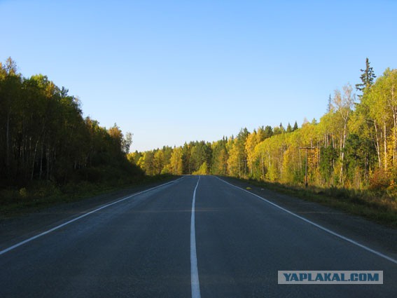 Тест на музыкальное старперство