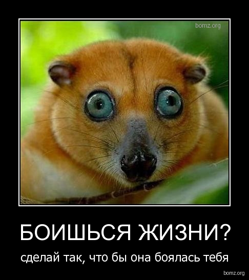 Старые добрые демотиваторы