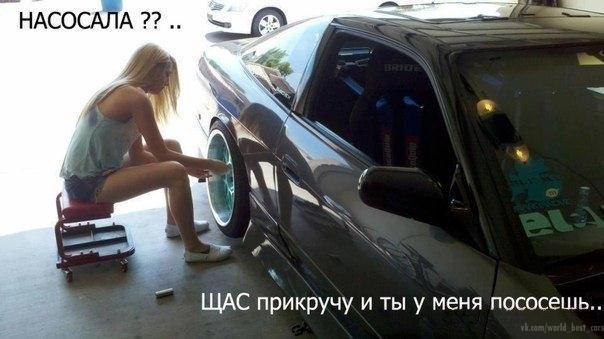 Подборка безудержного веселья