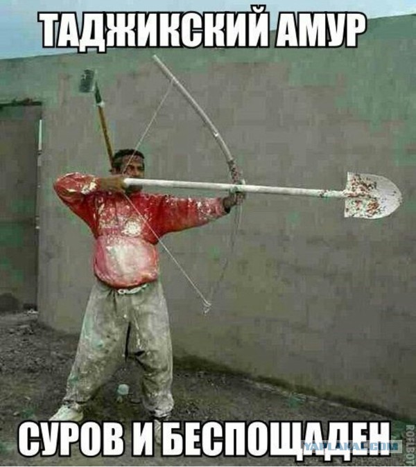 Ох уж эти очумелые ручки