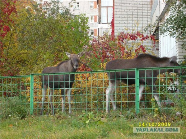 Самые секретные города СССР