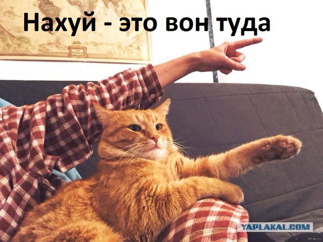 Пару слов о табаке.