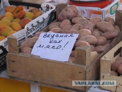 Фотографии из серии «Сходил в супермаркет — повеселился»