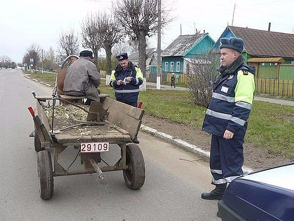 Подборка интересных и веселых картинок