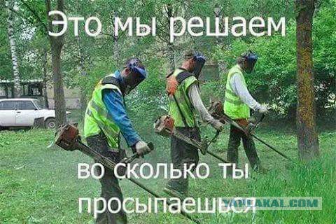 Смешные комментарии из социальных сетей 13.07.2018