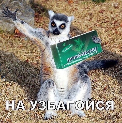Первые деньги и первые разочарования