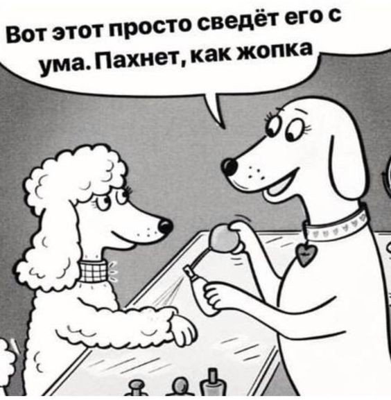 Не очень адекватный юмор