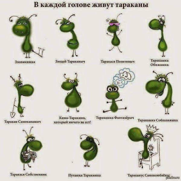 Женщины с "идеальными тараканами" в своей голове