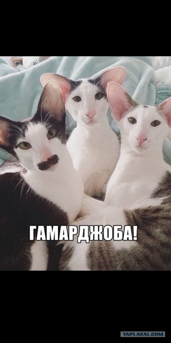 Немного картинок для настроения