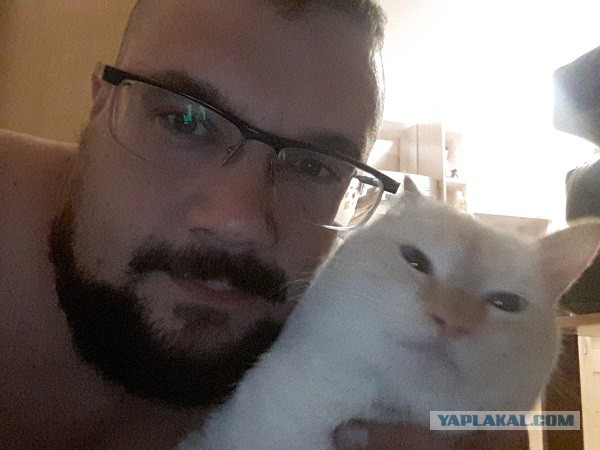 Навеяло темой про брошенного котейку