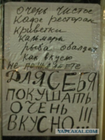Кушать подано по-египетски или "Яйца Схватки"