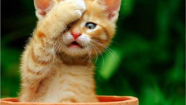 Названа одна из причин нынешней ситуации в стране