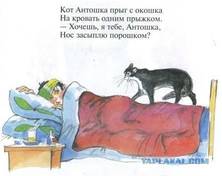 Кот, Антошка и порошок
