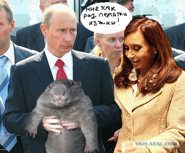 Фотожаба: Путин и зверь