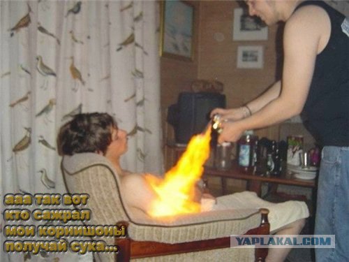 Фотожаба: Я люблю корнишоны