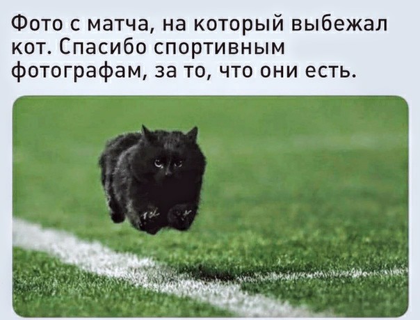 Немного картинок для настроения 11.07.20