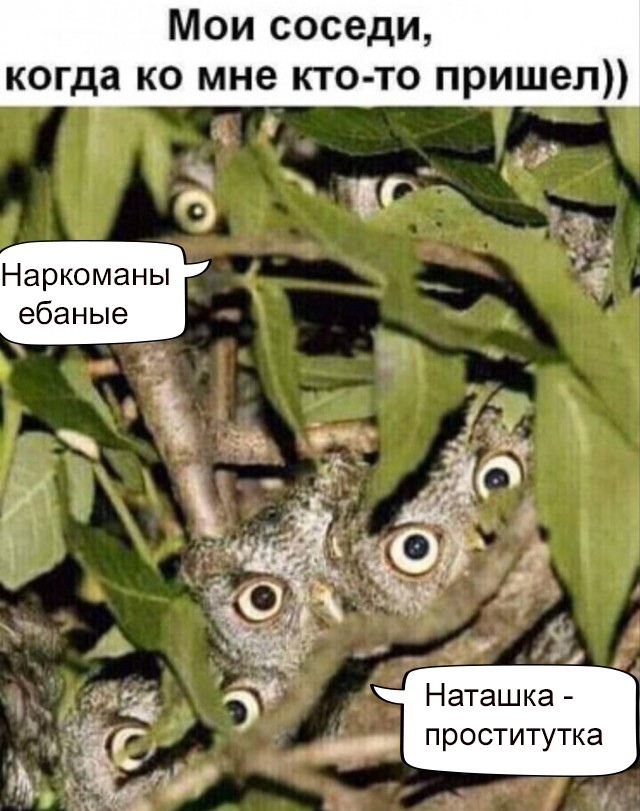 Бредзона 22.07.2020