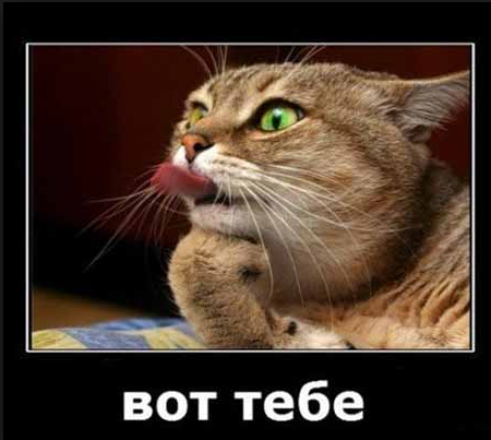 Вы спрашивали, что стоит знать об обрезании каждому мужчине