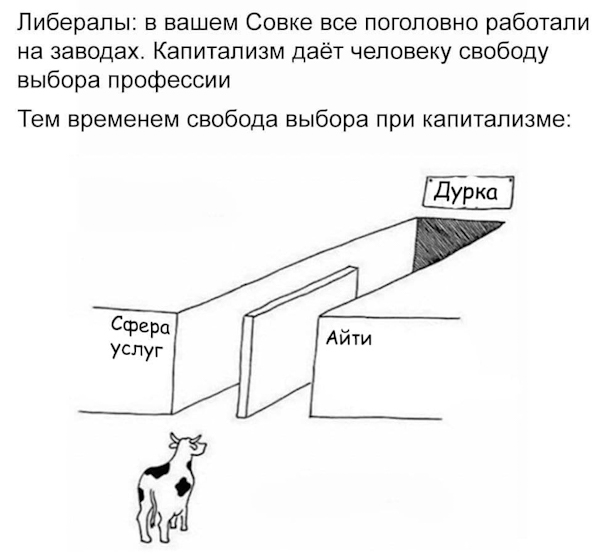 Весёлые картинки 26.05.21