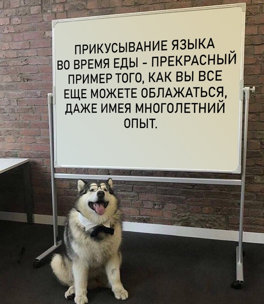 Весёлый полтишок 26.09