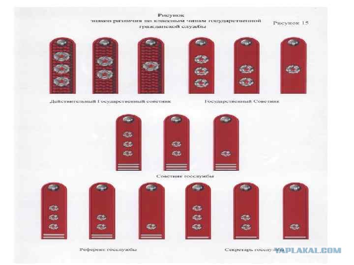 Налоговая погоны и звания в картинках