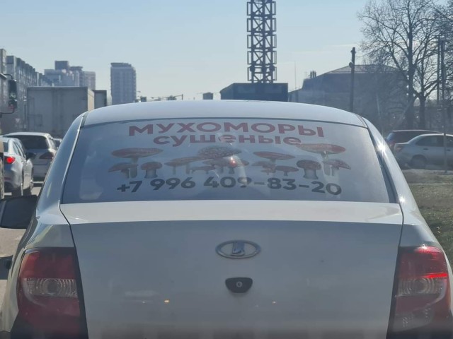 Зеленский попросил у Запада «безусловные деньги»