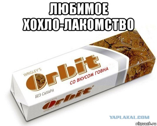 В Турции потребовали от отелей отменить все брони российских туристов и выгнать россиян