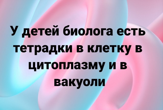 Весёлый полтишок 08.06.2022