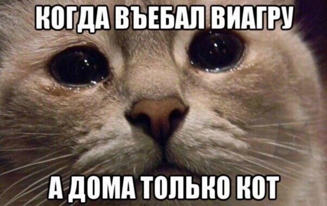 Прикольные и просто красивые картинки 15.07.2022