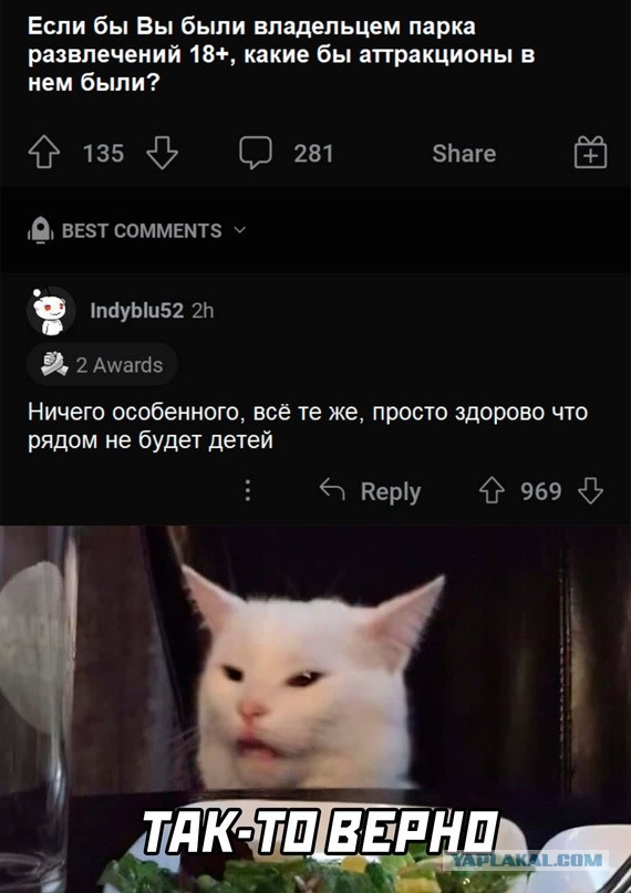 Весёлый полтишок 08.08.22