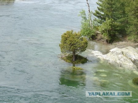 Деревня в которой я живу