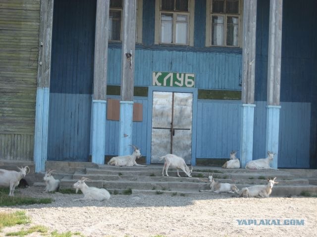 Водный поход по Карелии